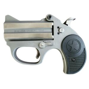 Bond Arms Stinger RS Derringer .380 ACP, 3" Barrel, 2 Rounds