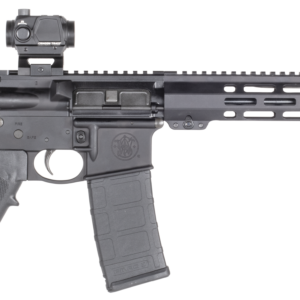 Modern semi-automatic rifle with tactical features