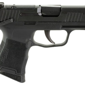 Sig Sauer 365380BSSMSMA P365  380 10+1 3.10" Nitron