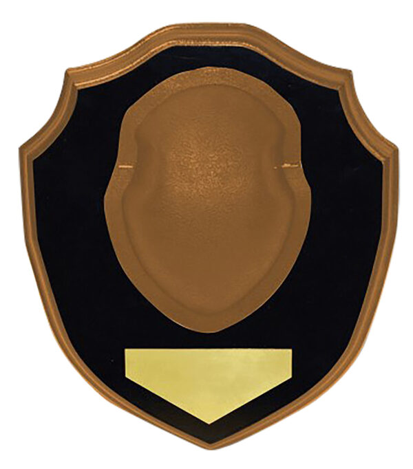 155355 1.jpg