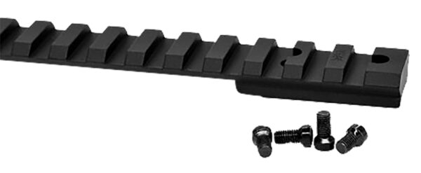 Picatinny rail with mounting screws.