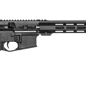 Black modern rifle with tactical rail system.