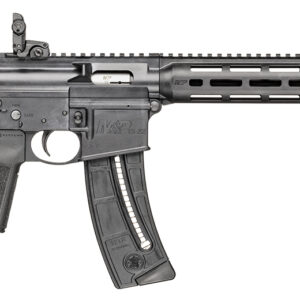 Smith & Wesson 14180 M&P15-22 Sport 22 LR 25+1 16.50" Black Steel Threaded Barrel, Picatinny Rail Polymer Receiver, M-LOK Polymer Handguards, Black Polymer B5 Bravo Stock, Black B5 Type 23 Grips