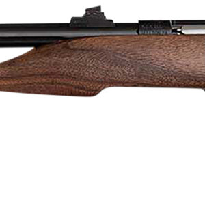 Chipmunk 40001 Hunter  Youth Frame 22 S/L/LR Single Shot 9" Threaded Blued Steel Barrel, Walnut Frame, EZ Loader