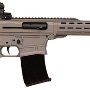 Gray semi-automatic rifle with stock