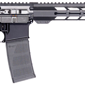 Patriot Ordnance Factory 02316  P-15 Base 5.56 NATO 10+1 16.50" Black Anodized A2 Style Grip