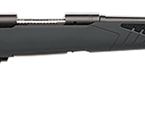 Savage Arms 57042 110 Hunter 300 Win Mag 3+1 24", Matte Black Metal, Gray Fixed AccuStock with Accufit