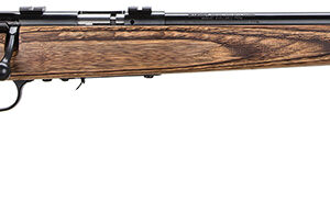 Wooden stock rifle on white background