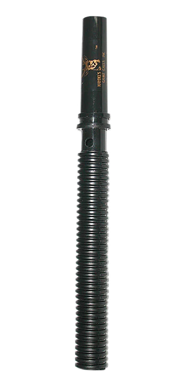 81065 1.jpg