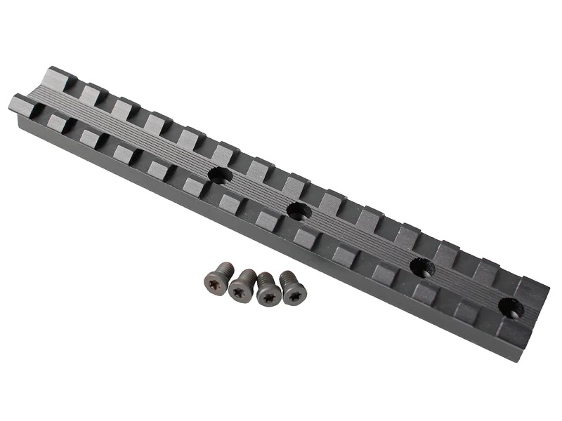 Picatinny rail with mounting screws
