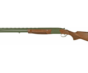 cz06462 1.jpg