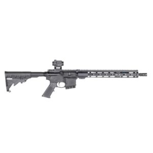 AR-style rifle with tactical scope