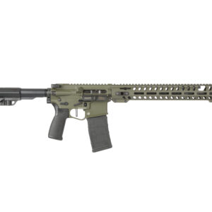 AR-style rifle, olive green details