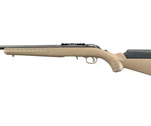 RUGER BLKHWK 357MAG/9MM 5.5" STS 6RD