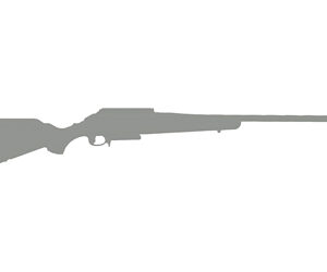 RUGER AMER PRED G2 223REM 22" BZ/GR