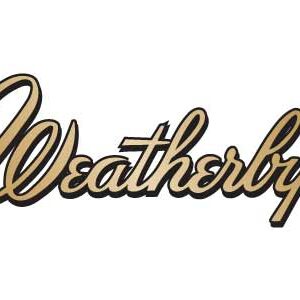 WEATHERBY VANGUARD OBSDN HB 223REM 20"