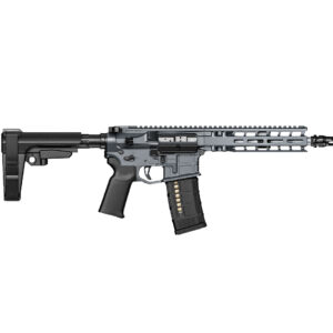 Model 1 9" 300 BLK Pist Radian Grey