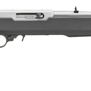 Ruger 31224 10/22  22LR 10+1 18.50" Clear Satin