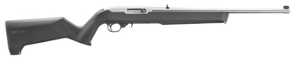 Ruger 31224 10/22  22LR 10+1 18.50" Clear Satin