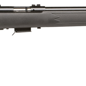 Savage Arms 26724 Mark II FV 17 HM2 Caliber with 5+1 Capacity, 21" Heavy Barrel, Satin Blued Metal Finish, Matte Black Synthetic Stock & AccuTrigger Right Hand (Full Size)