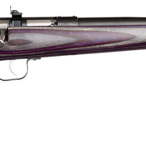 Davey Crickett Youth .22 LR Single-Shot Rifle, 16" Barrel