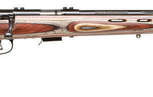Savage Arms 96770 93R17 BRJ Full Size 17 HMR 5+1, 21" Matte Blued Button-Rifled Barrel & Receiver, Multi Fixed Monte Carlo Stock
