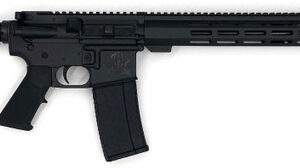GLFA AR-15 223WYL 16 BLK 30RD