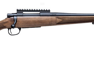 Howa SL 243 20" Thrd Walnut Hunter