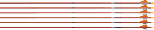EASTON ARROW FMJ 5MM 340 W/ 2" - BULLY VANES 6-PACK AUTUMN ORG