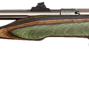Chipmunk 41105 Hunter Adult 22 Mag 1rd 9" Threaded Stainless Steel Single Shot Barrel, Camo Laminate Stock