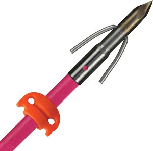 AMS BOWFISHING FIBERGLASS - ARROW CHAOS POINT PINK W/SS