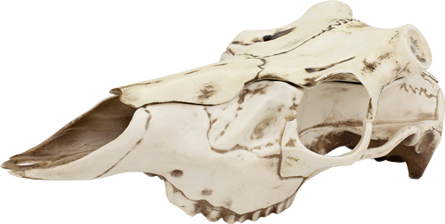 MOUNTAIN MIKE'S NATURAL CAUSES - SKULL MASTER LARGE