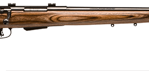 Savage Arms 25LV 17HORNET BL/Laminate DBM .17 Hornet Bolt-Action Rifle, 24" Barrel