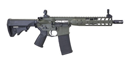 LWRC IC-A5 SBR 300BLK ODG 10" TB