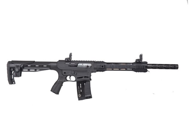 PANZER ARMS AR12 G4 SHTG