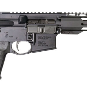 Black tactical firearm with adjustable stock.