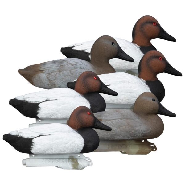 Realistic decoy ducks in various poses