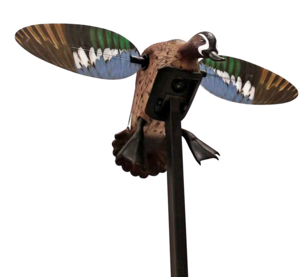 Flying duck decoy with colorful wings.