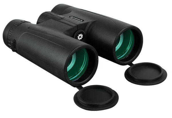 Compact black binoculars with green lenses