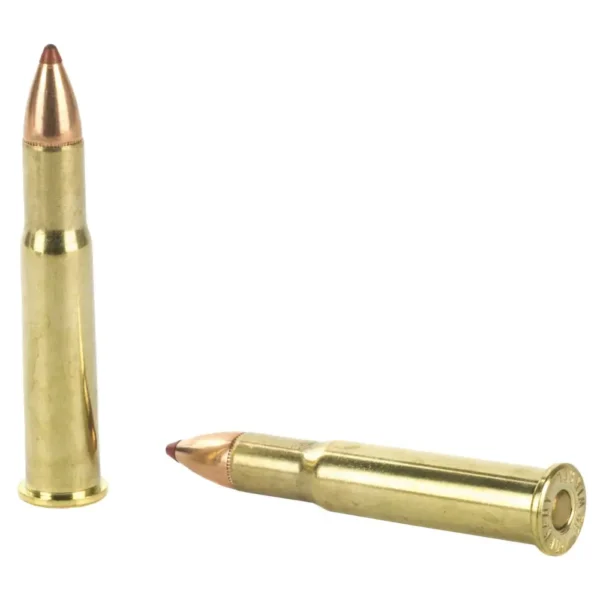 Two brass rifle cartridges on a white background.