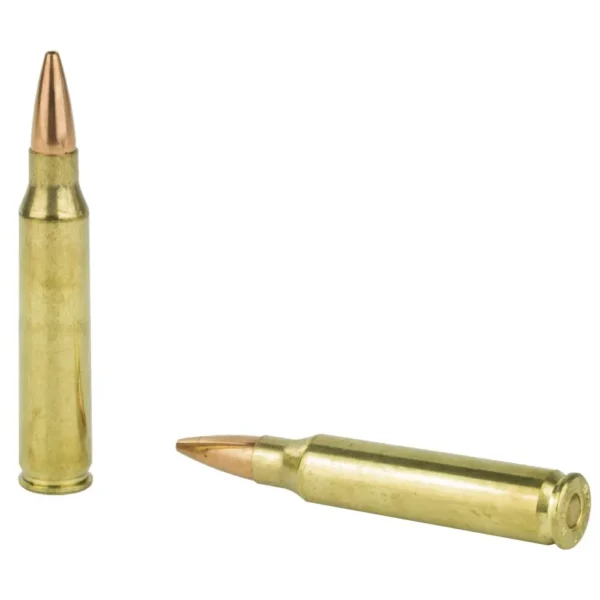 Two bullets placed on a white background.