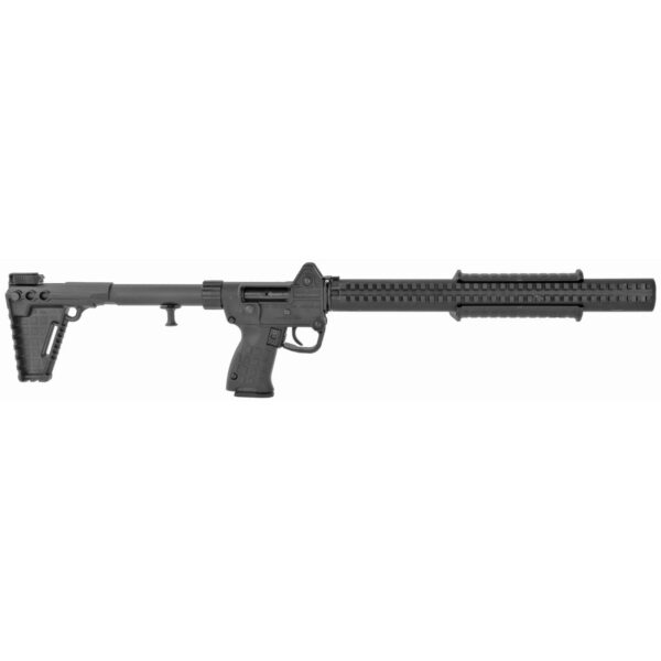 Black modular firearm with adjustable stock