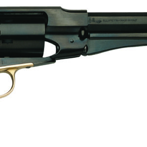 Side view of a classic revolver firearm