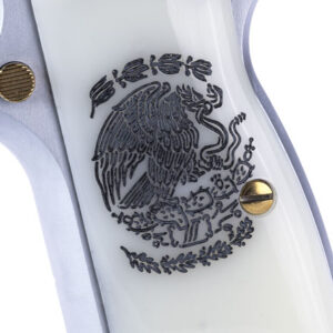 Close-up of decorative gun grip design.