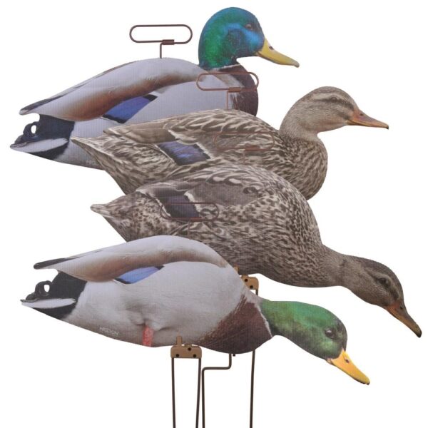 Four realistic duck decoys in various positions.