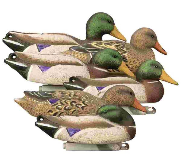 Realistic decoys of ducks for hunting or decoration.