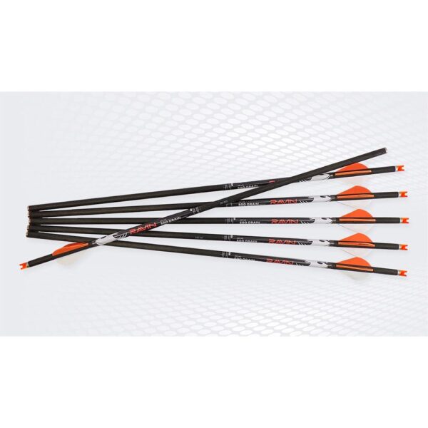 Six black archery arrows with orange fletching.
