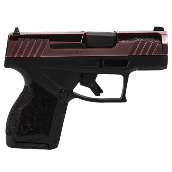 Compact handgun with ergonomic design and safety features.