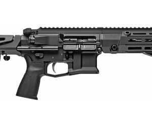 Black tactical rifle with adjustable stock.