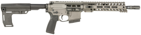 Modern rifle with tactical features and accessories